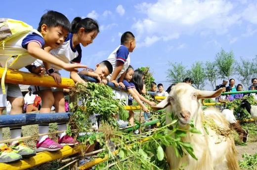 【豌豆农庄】开启遛娃新体验，带你来一次充满仪式感的自然清肺之旅，繁忙城市的惬意后花园，萌宠+烧烤+漂流 私藏的遛娃好去处！ 商品图5