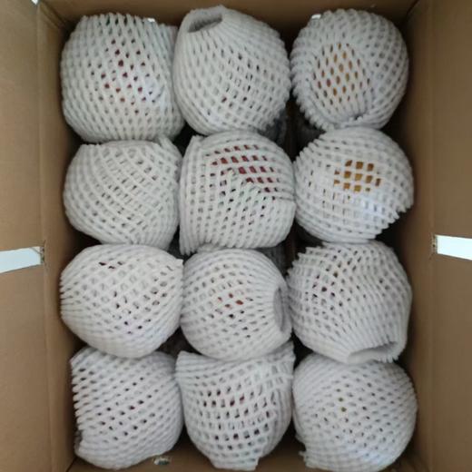 2025年云南高山丑苹果红富士  包邮 商品图5