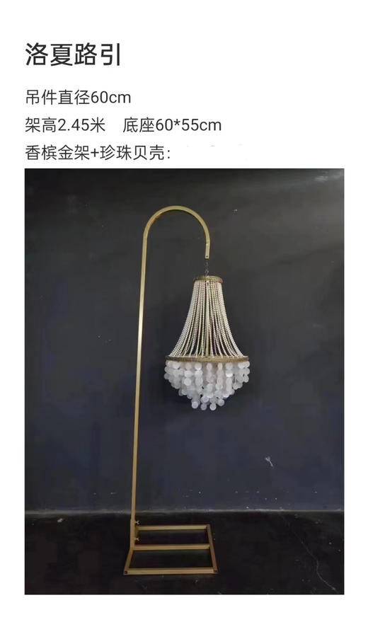 洛夏路引（运费自理） 商品图0