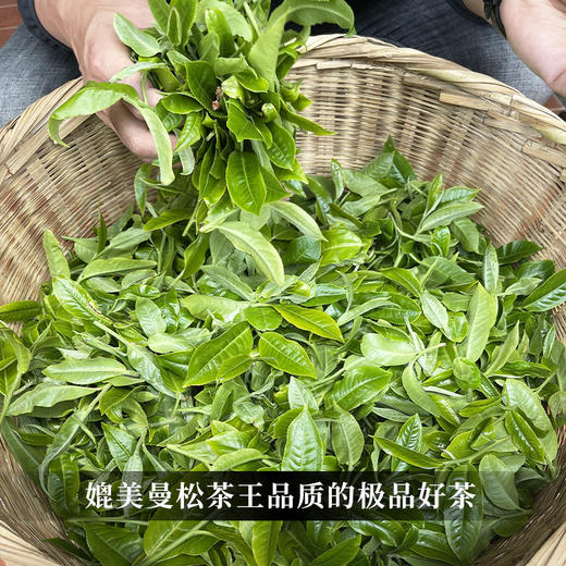 茶界奢品【福票】2019年曼松备选茶王树制作而成，茶王树仅采市面上蕞好的曼松，现在都是在拍卖出售根本买不到的稀世珍品掌柜压箱底好茶赠送锡罐， 商品图7