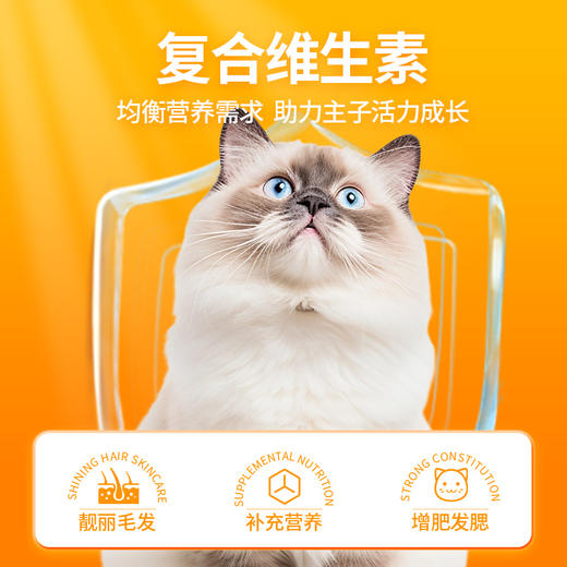 溜达猫猫条猫咪零食舔舔条15g*6支/袋猫湿粮营养肉泥鲜香肉肉猫零食批发 商品图5
