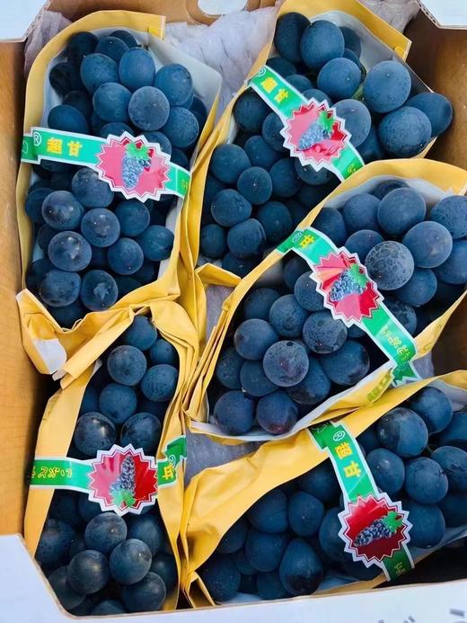 黑加仑葡萄 商品图0