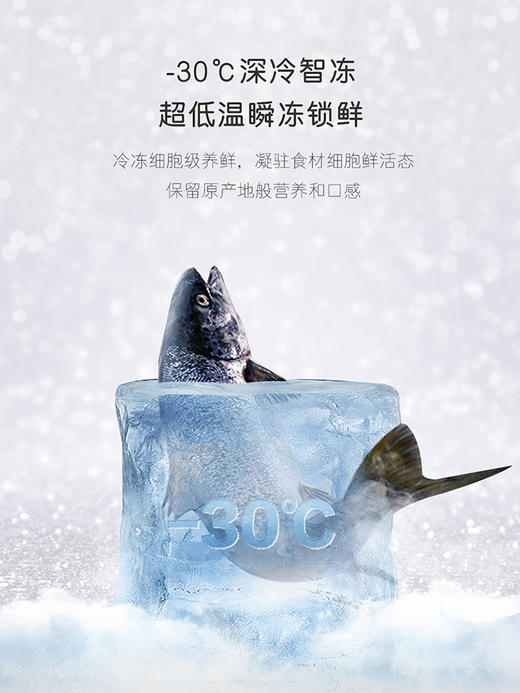 素岩-卡萨帝551L零嵌入式灰白色十字四门一级能效超薄家用冰箱 商品图2