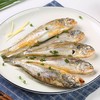 舟山野生小黄鱼（1斤7条装） 商品缩略图1