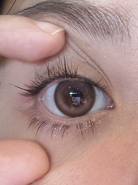 平价年抛丨冰玫瑰·Pfgirlcon丨14.2mm（年抛/2片装）