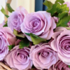 海洋之歌单头玫瑰丨A级花材 商品缩略图2