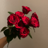 高原红单头玫瑰丨A级花材｜轻微黑边不售后 商品缩略图2