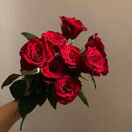 高原红单头玫瑰丨A级花材｜轻微黑边不售后 商品图2