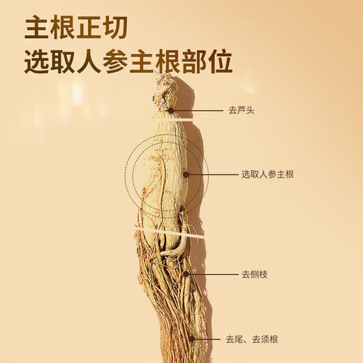 【正宗同仁堂品牌】北京同仁堂 人参片68g/盒 送礼盒 无熏蒸 主根正切 优选大片SY 商品图2