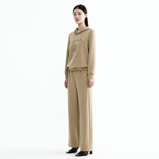 戴布拉芬卫衣L26D152 商品图0