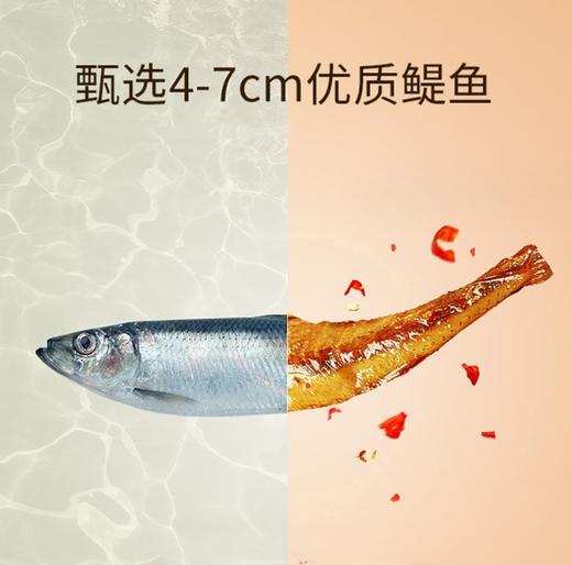 【食品】劲仔深海小鱼仔12gX20香辣毛毛鱼干湖南特产零食 商品图2