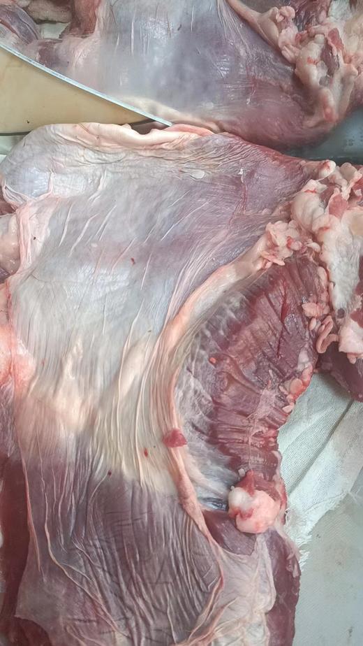 预售牛腩三斤 商品图0