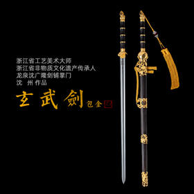 玄武剑 沈州作品 龙泉沈广隆宝剑 沈广隆剑铺 手工传统剑收藏宝剑 sgl-2010未开刃