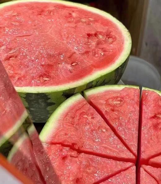 战神西瓜 商品图0