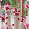 娇兰-生日布置 商品缩略图3