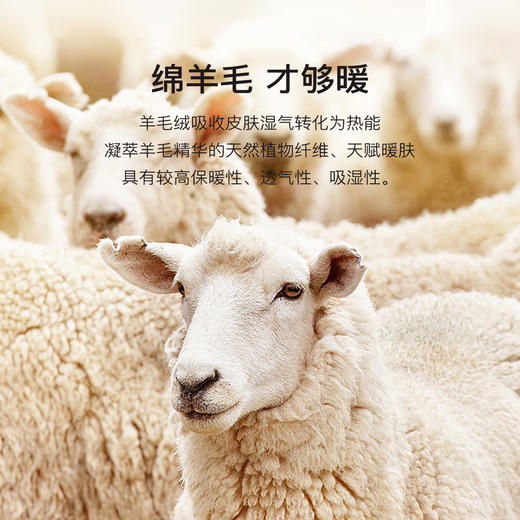 620g含绵羊毛加绒加厚男士保暖裤抗寒毛裤保暖锁温打底裤男士绗缝保暖裤 商品图2