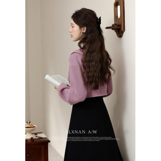 鹿向南《月夜海棠》别致设计上衣连衣裙两件套气质裙子LXN32818Q 商品图3