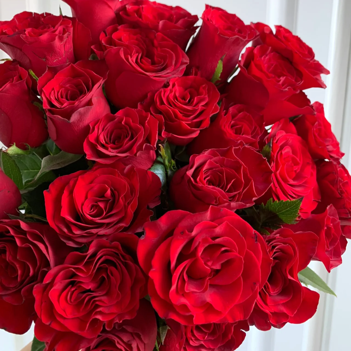 高原红单头玫瑰丨A级花材｜轻微黑边不售后