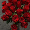 高原红单头玫瑰丨A级花材｜轻微黑边不售后 商品缩略图1