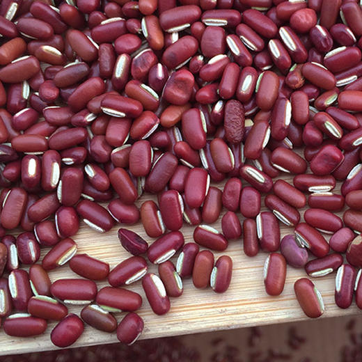 河谷上方 赤小豆500g*5袋 商品图3