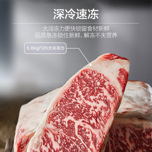 海尔（Haier）480升风冷无霜彩晶变频对开门大容量超薄家用电冰箱BCD-480WGHSSEDSLU1 商品图3