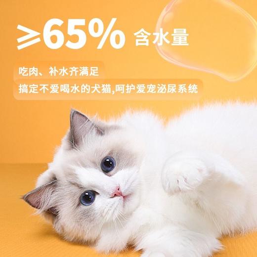 新宠之康蒸煮鸡胸肉即食宠物零食高蛋白猫零食营养发腮湿粮40g 商品图4