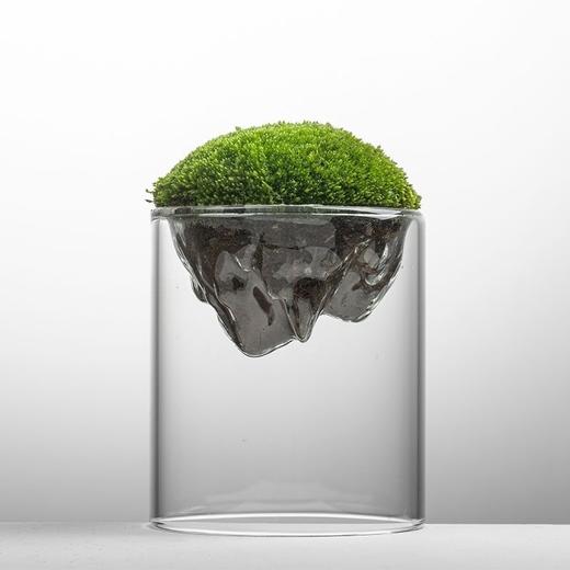 【绿植】礼物桌面懒人苔藓微景观生态瓶学生宿舍办公室懒人绿植解压diy 商品图7