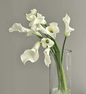 国产花材-【马蹄莲】白色