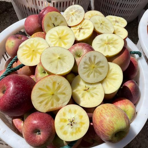 2025年云南高山丑苹果红富士  包邮 商品图1