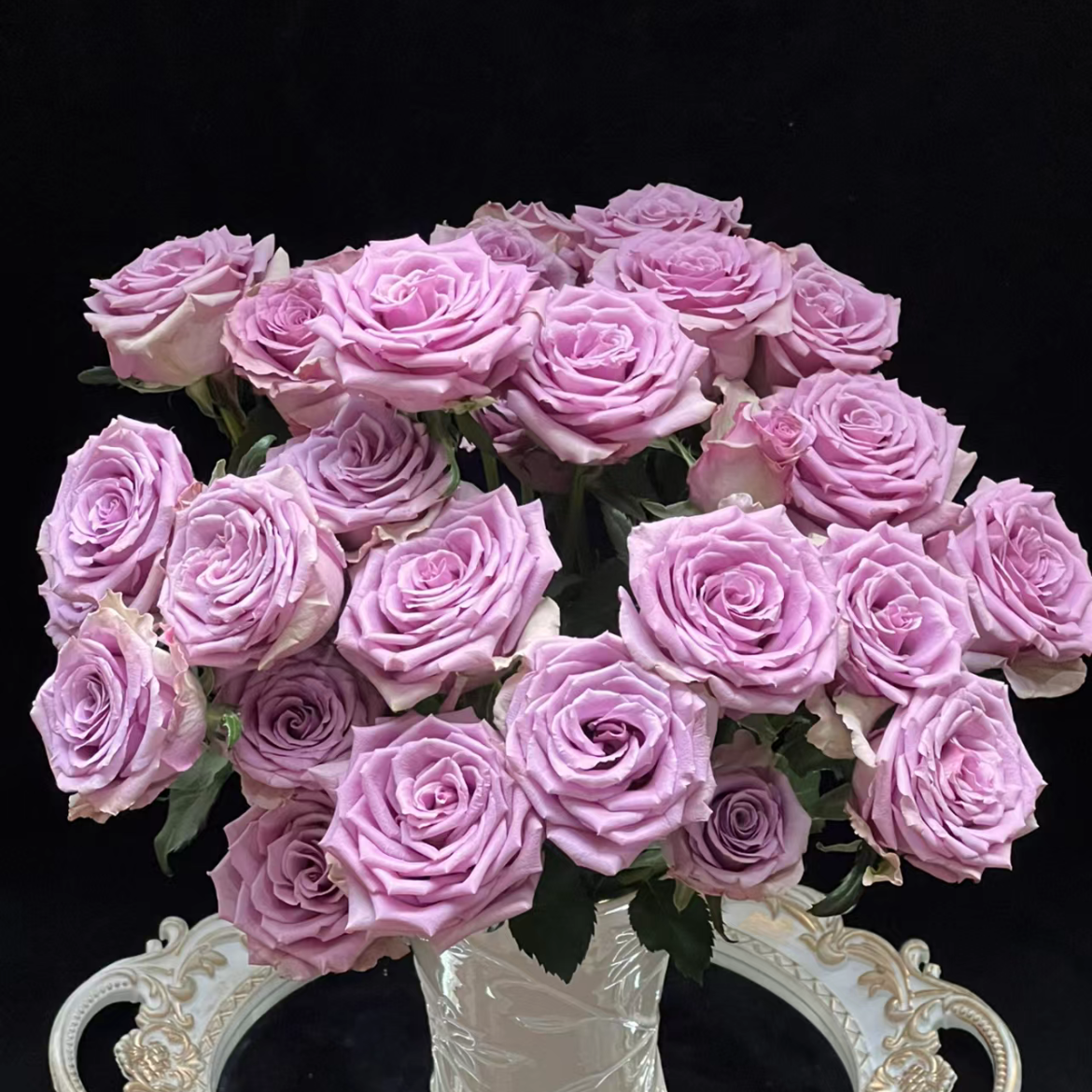 紫霞仙子单头玫瑰丨A级花材