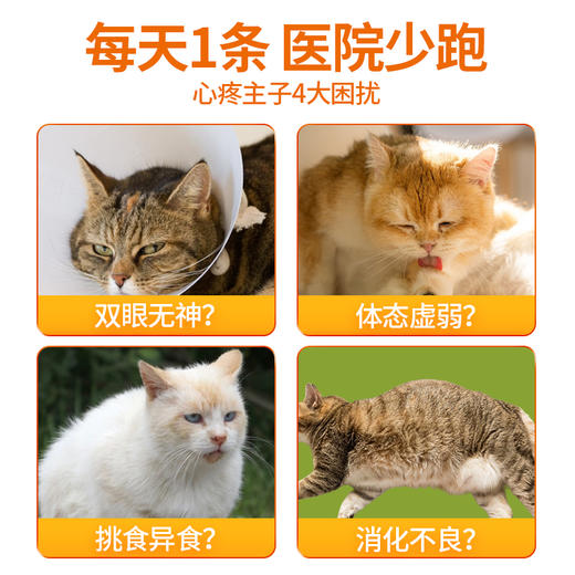 溜达猫猫条猫咪零食舔舔条15g*6支/袋猫湿粮营养肉泥鲜香肉肉猫零食批发 商品图2