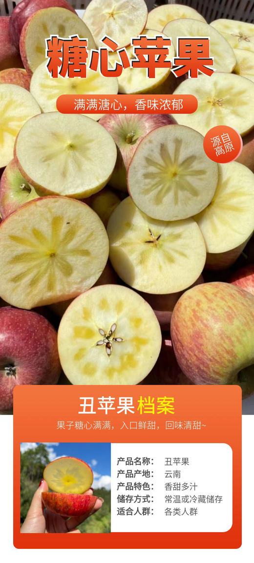 2025年云南高山丑苹果红富士  包邮 商品图3