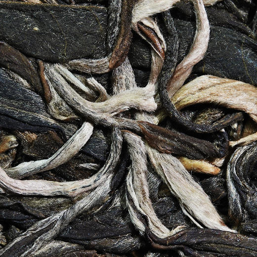 茶界奢品【福票】2019年曼松备选茶王树制作而成，茶王树仅采市面上蕞好的曼松，现在都是在拍卖出售根本买不到的稀世珍品掌柜压箱底好茶赠送锡罐， 商品图8