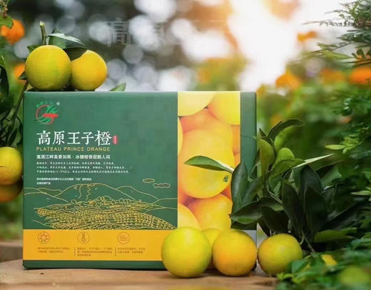 【高原王子橙】2号特级大果 淡淡橙香萦绕齿间 浓浓甜味儿回味悠长 商品图5