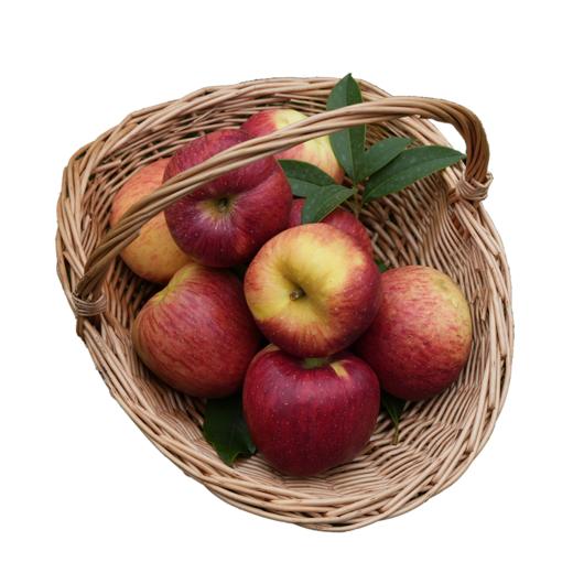 2025年云南高山丑苹果红富士  包邮 商品图6