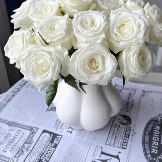 骄傲单头玫瑰丨A级花材  白玫瑰 商品图1