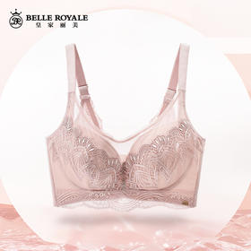 皇家丽美收副乳大胸显小调整型蕾丝文胸WJ037-1