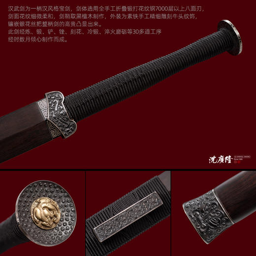 汉武剑 沈州作品 汉剑 收藏传统宝剑 龙泉沈广隆宝剑 未开刃 商品图2