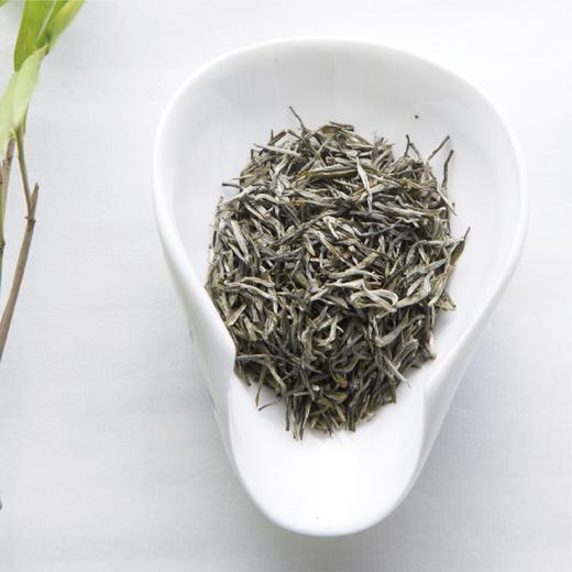 60G苗品记小八宝永川秀芽（知竹） 商品图5
