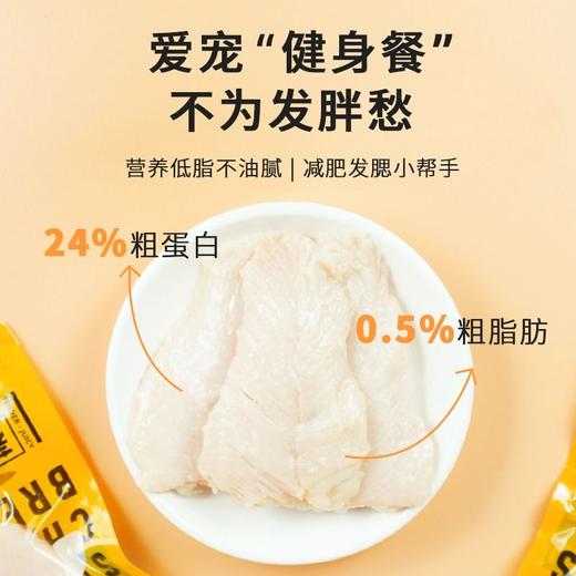 新宠之康蒸煮鸡胸肉即食宠物零食高蛋白猫零食营养发腮湿粮40g 商品图3