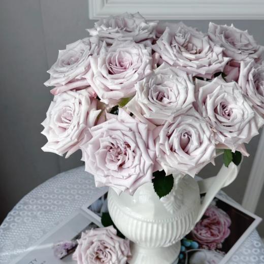 曼塔单头玫瑰丨A级花材丨单拍不发 商品图1