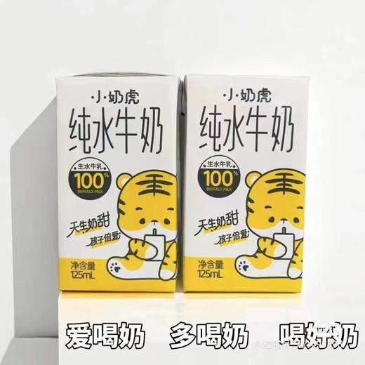 小奶虎纯水牛奶 商品图0