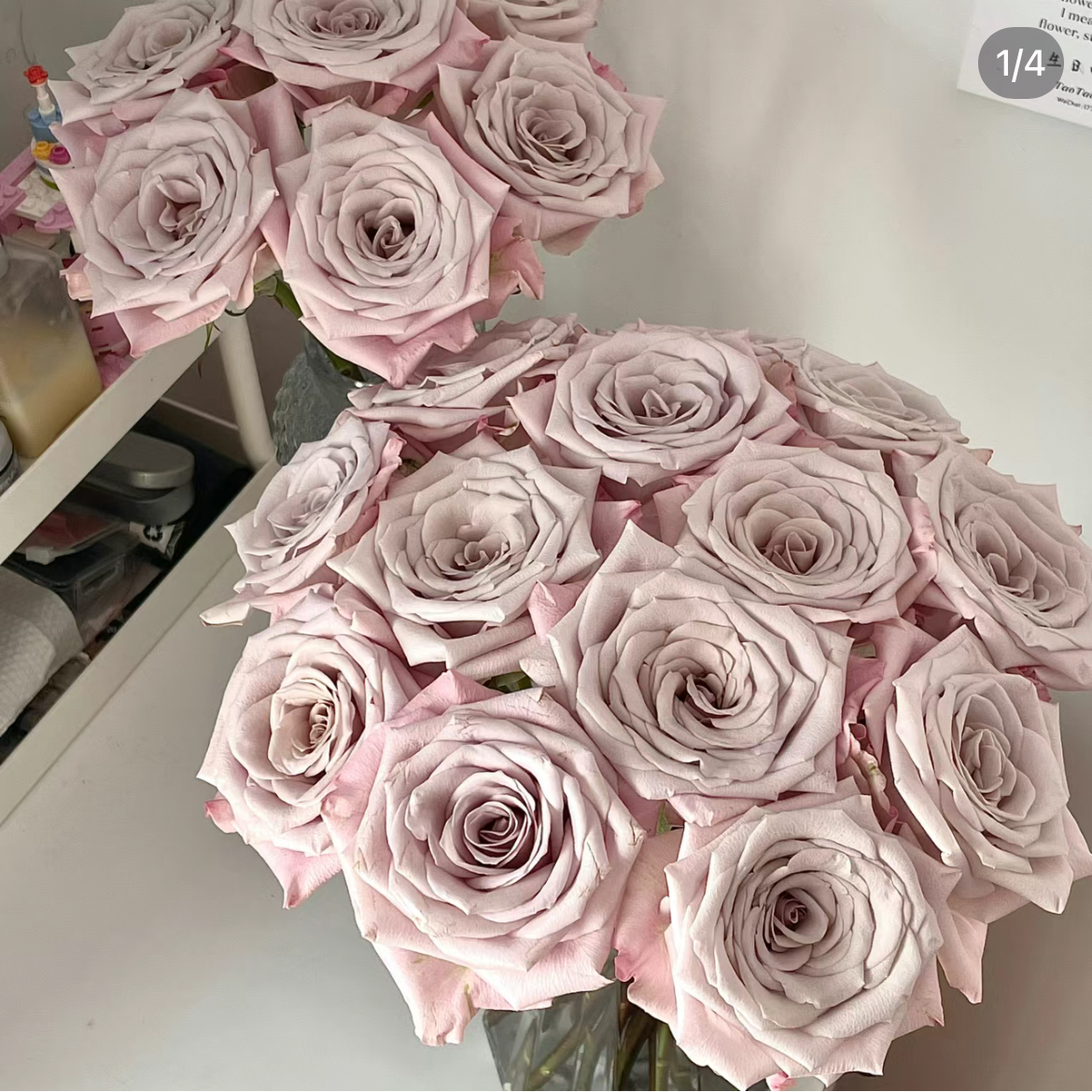 曼塔单头玫瑰丨A级花材丨单拍不发