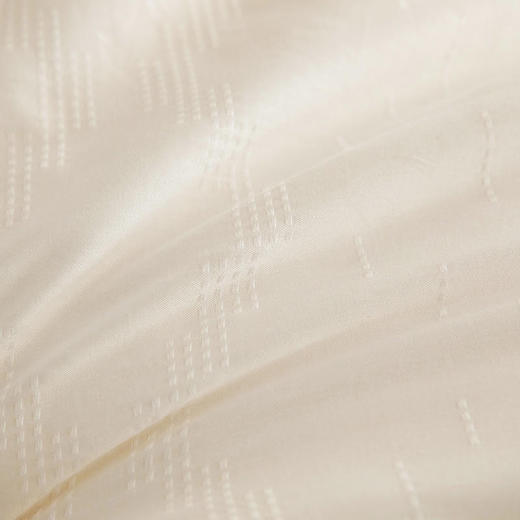 【大豆蛋白纤维&春秋被】全棉大豆白纤维，亲肤透气柔软蓬松保暖 吸湿透气 无甲醛  三种 尺寸任选 商品图2