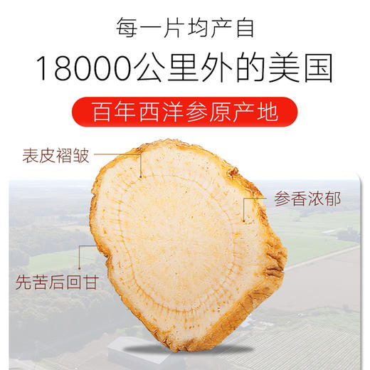 【正宗同仁堂品牌】北京同仁堂 美国西洋参片 2# /90克 参香浓郁 微苦回甘 SY 商品图5