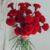 单头康乃馨丨洪福丨20支/扎 商品缩略图1