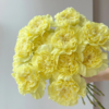 单头康乃馨丨黄柠檬丨20支/扎 商品缩略图1
