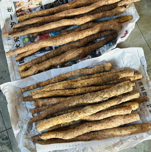 【产地顺丰直发】中国地理标识产品，正宗河南焦作温县垆土铁棍山药五斤装 商品图9