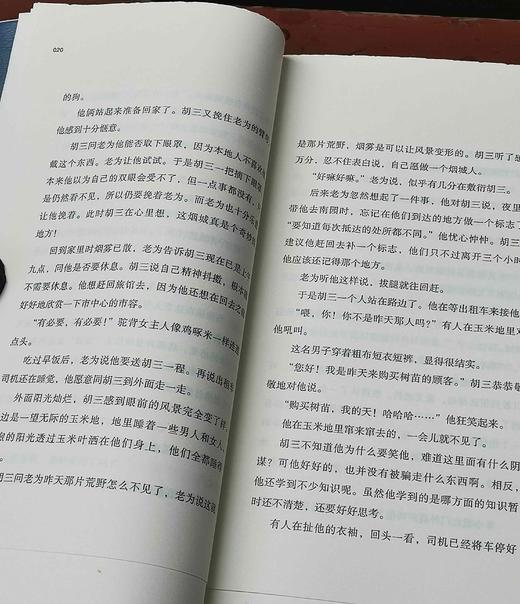 毛边本！！残雪新作《烟城》，残雪著，春风文艺出版社2023年11月一版一印，定价48，售价45元。 商品图6