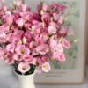 粉色丨洋桔梗 商品缩略图2